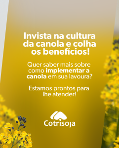 Canola